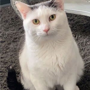 Meet your Posher, Emma